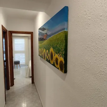 Apartment Jaume Ii *